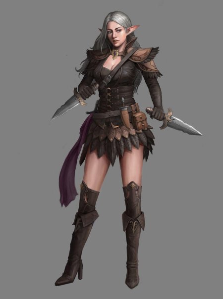 Эльфийка ассасин