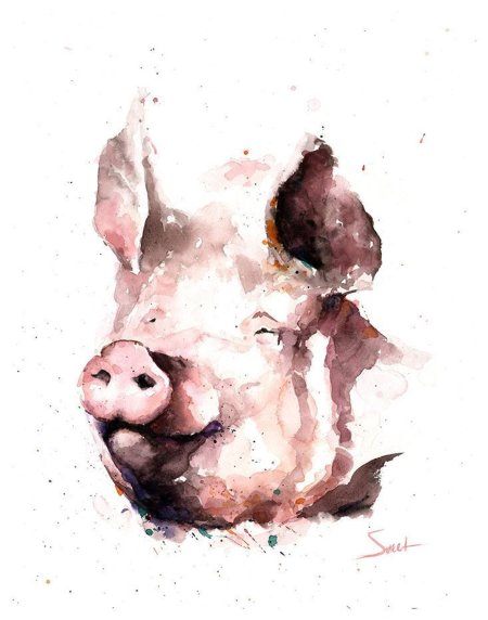 Поросенок акварелью