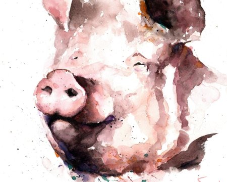 Свинья акварель