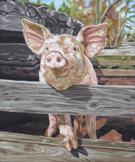 Свинья живопись