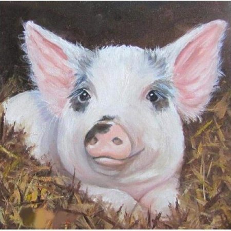 Поросенок живопись