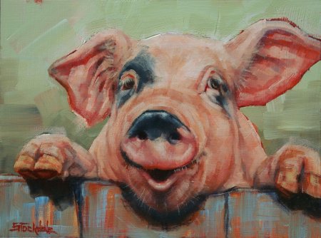 Рисунки свиньи