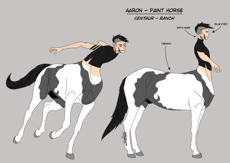 Лошади референс