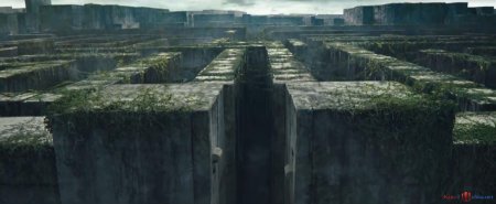 Глейд бегущий в лабиринте