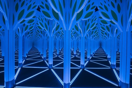 Зеркальный лабиринт пикаболо