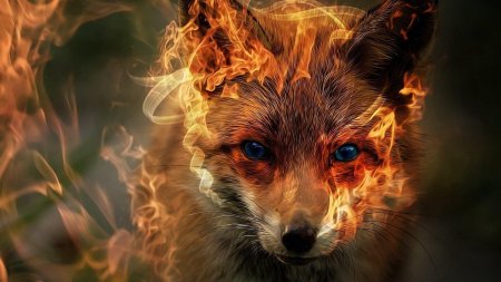 Огненная лиса