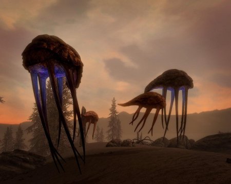 Нетч морровинд