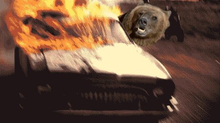 Медведь в горящей машине