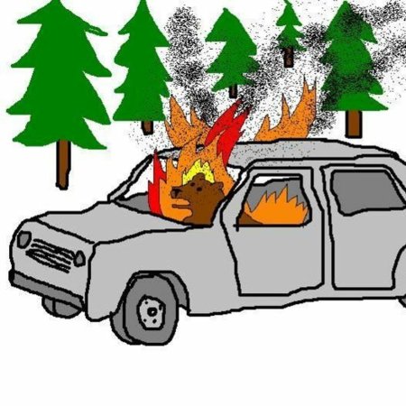 Медведь сел в машину и сгорел