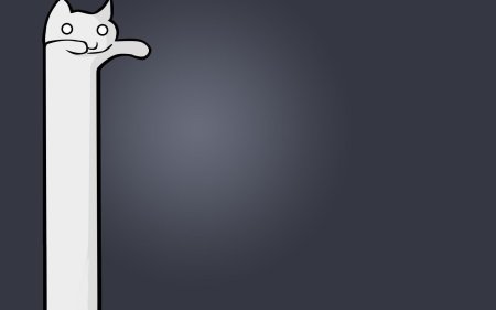 Длинные коты