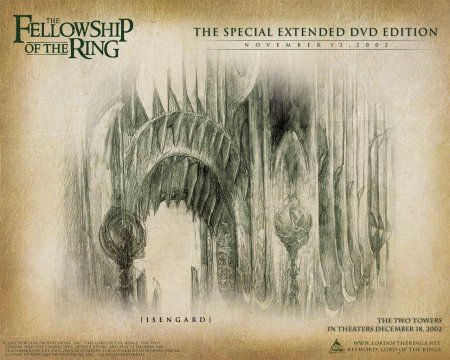 Lord of the rings fellowship ring