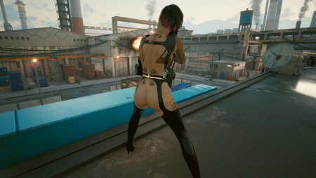 Киберпанк джуди