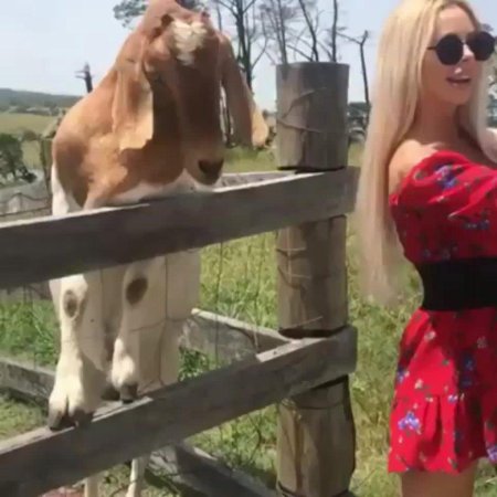 Прикольная девушка