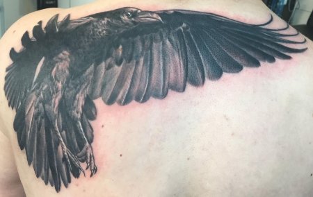 Тату ворона на плече
