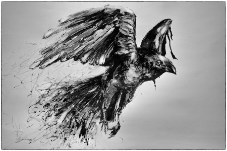 Ворон рисунок карандашом