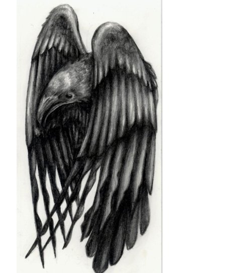 Хугин и мунин тату эскиз