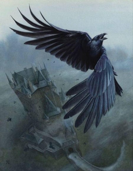 Ворона ворон