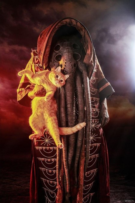 Поднявшийся спящий морровинд