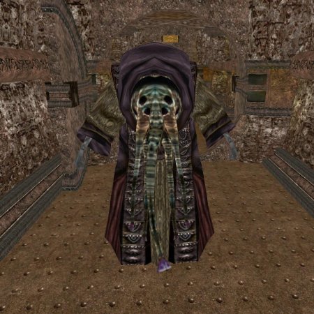 Morrowind поднявшийся спящий