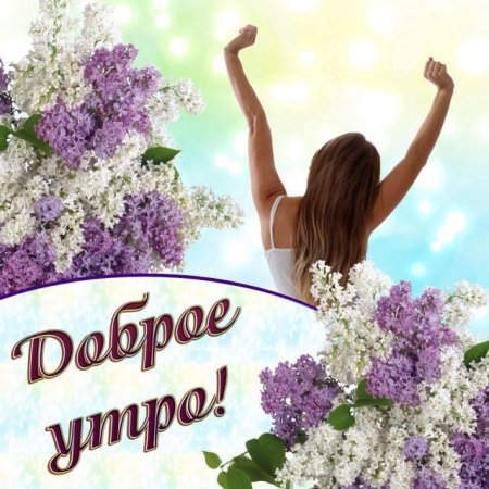 Доброе утро с сиренью