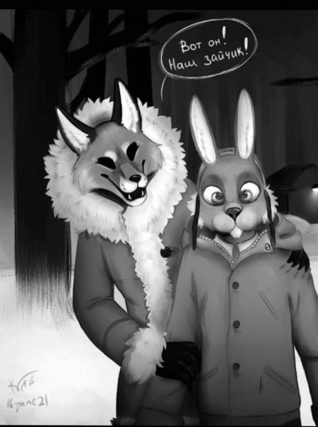 Дмитрий мордас зайчик