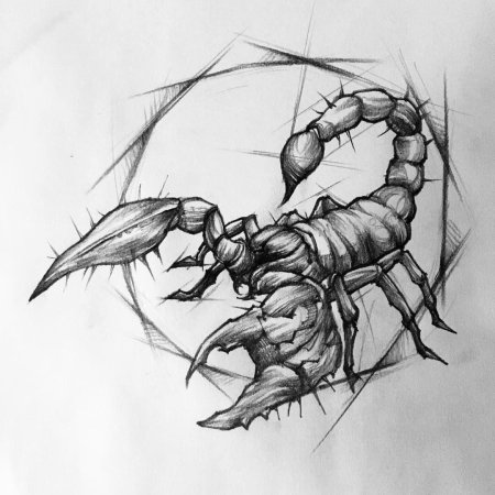 Эскиз тату скорпион