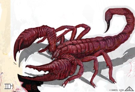 Красный скорпион