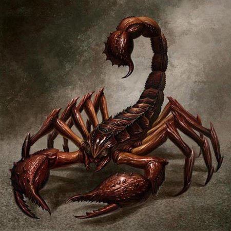 Гигантский скорпион днд