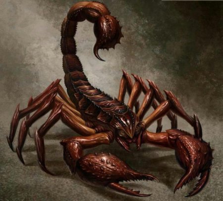 Гигантский скорпион днд