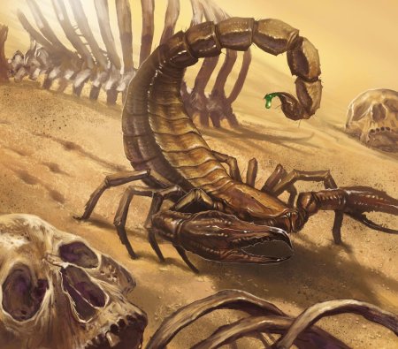 Пустынный скорпион
