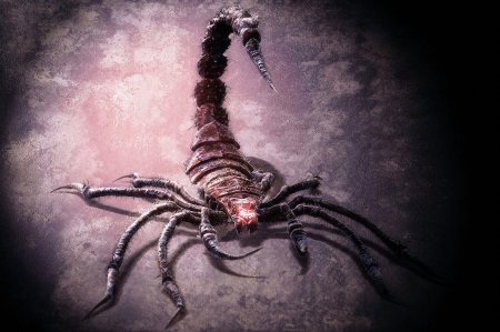 Арахнид скорпион