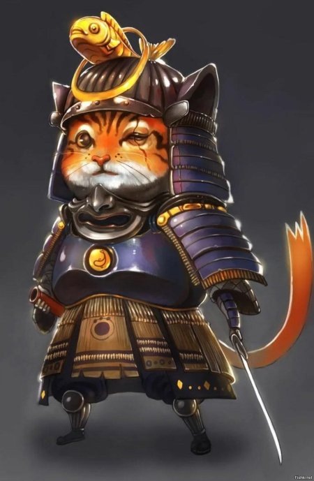 Коты самураи