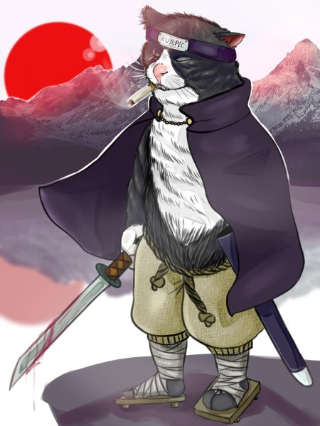 Коты самураи