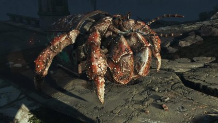Фоллаут краб отшельник