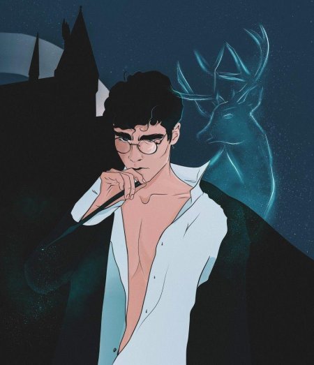 Иллюстрации гарри поттер