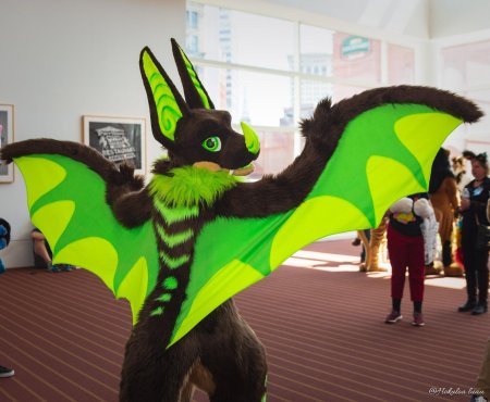 Фурсьют летучая мышь