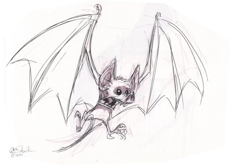 Летучая мышь рисунок карандашом для срисовки