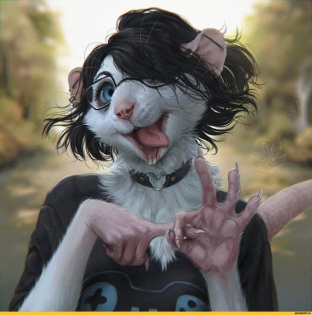 Фурри крыса