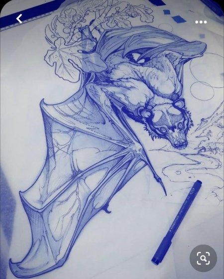 Тату эскиз летучая мышь