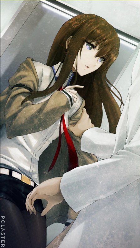 Врата штейна макисе курису