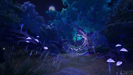 Сказочный лес ночью