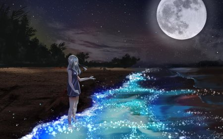 Ночной пейзаж с луной