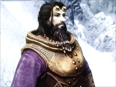 Скайрим бороды двемеров