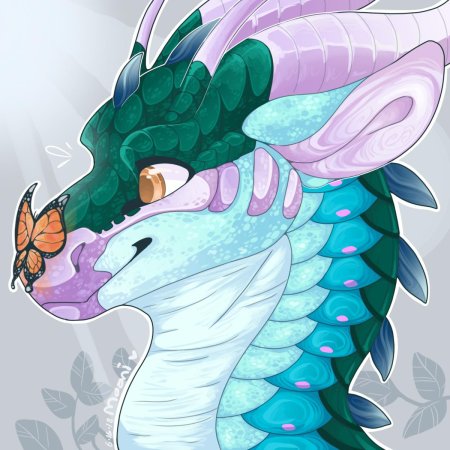 Silkwing wings of fire