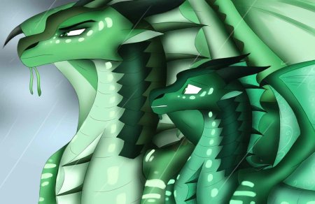 Росянка дракон драконья сага