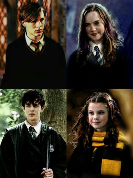 Гермиона грейнджер гарри поттер