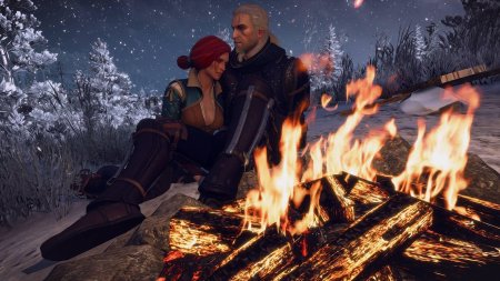 Трисс меригольд и геральт