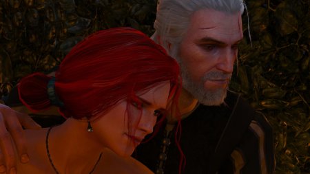 Ведьмак геральт и трисс