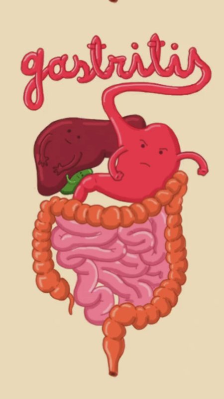 Пищеварительная система кишечник