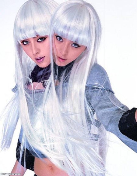 Близняшки аниме